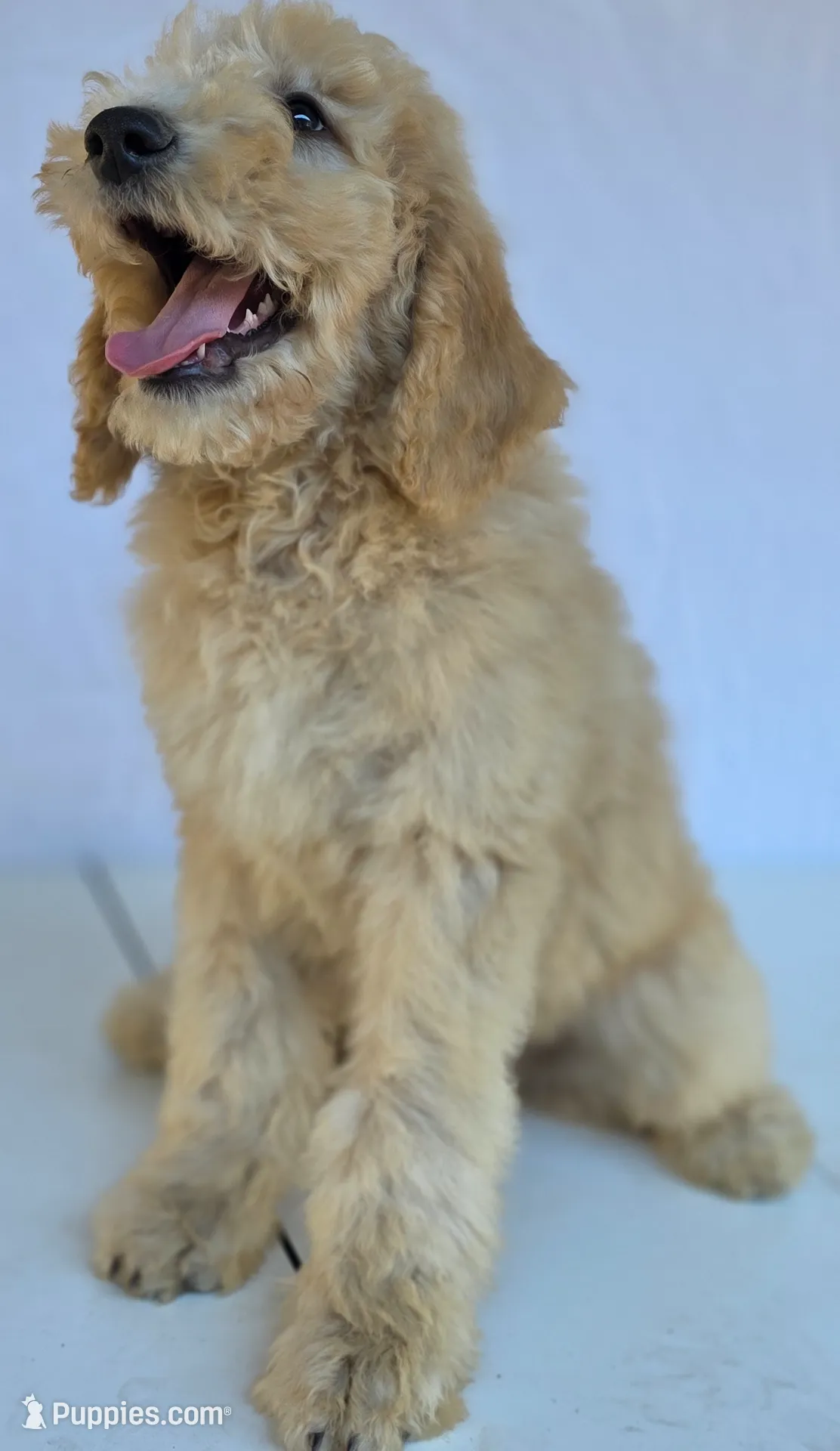 processed/ae68d0c1-6543-4704-b753-00974f51b751/listing/4bdaa247-13fa-4f3d-b007-dcf738e2a62f/a3722203-76c7-4486-89c8-6164495a9ab7