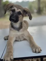 processed/ae68d0c1-6543-4704-b753-00974f51b751/listing/63e5e44f-9946-47aa-9167-53eff56acec4/ac647fd2-b822-44ba-9f22-6734ad83ca0b