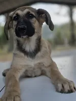 processed/ae68d0c1-6543-4704-b753-00974f51b751/listing/63e5e44f-9946-47aa-9167-53eff56acec4/cf6c2178-8689-4d5d-8ca2-7c10257466b4