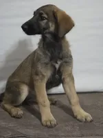 processed/ae68d0c1-6543-4704-b753-00974f51b751/listing/96cb4b62-c4bb-4538-a75d-989febd235ee/71ebd54d-a144-41fc-92d9-c2b61c21c6d2