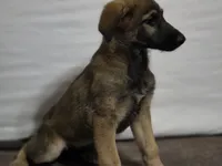 processed/ae68d0c1-6543-4704-b753-00974f51b751/listing/96cb4b62-c4bb-4538-a75d-989febd235ee/890b6883-749f-48e7-af24-a0a1c54d7753