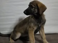 processed/ae68d0c1-6543-4704-b753-00974f51b751/listing/96cb4b62-c4bb-4538-a75d-989febd235ee/9300f703-897d-4b53-bdc7-8e0402fc2748