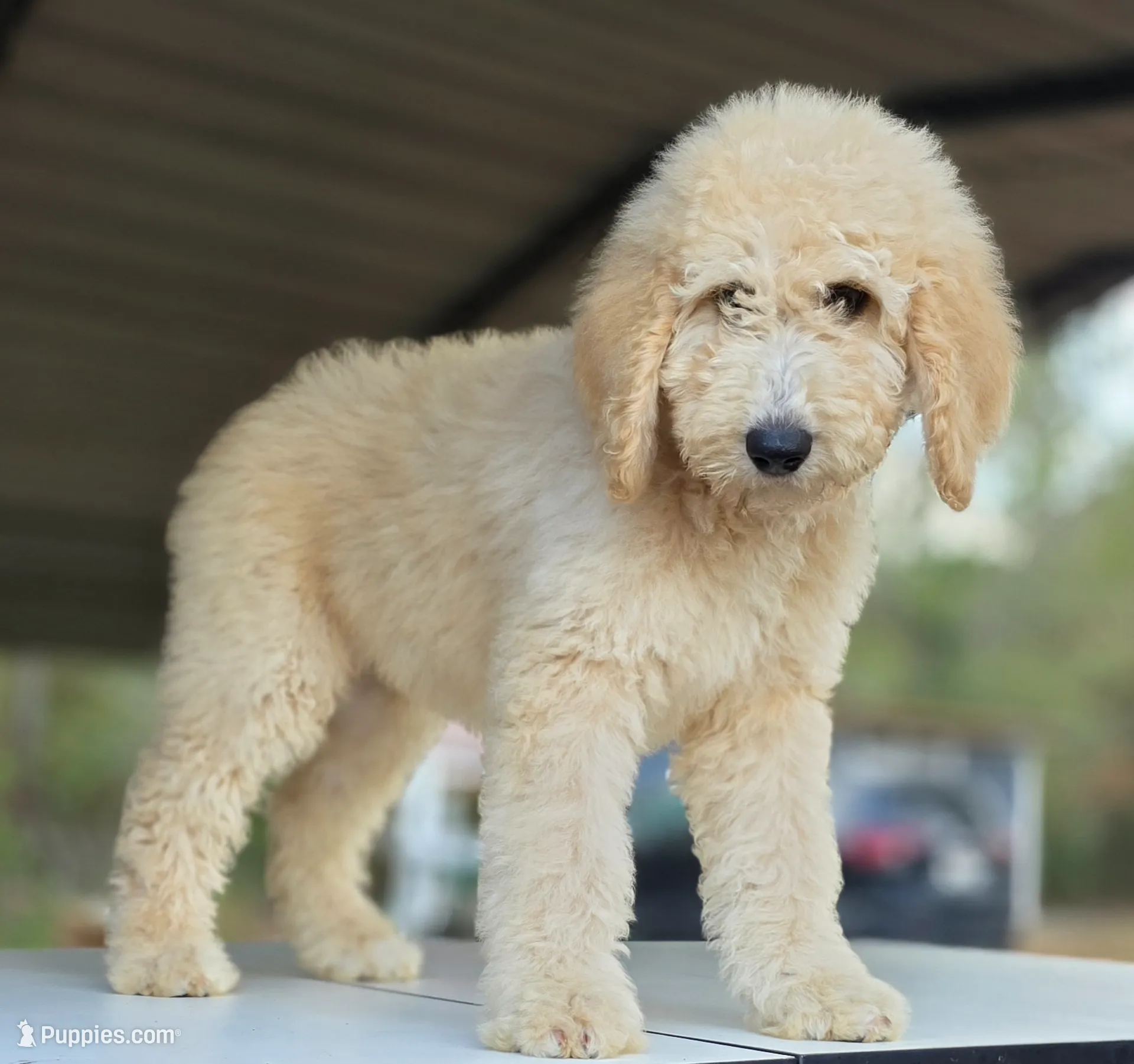 processed/ae68d0c1-6543-4704-b753-00974f51b751/listing/b3632605-5c8d-4be5-8b5f-215f16fbec40/3d02ce76-fe6c-434d-bf61-b7636692ee33