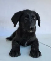 processed/ae68d0c1-6543-4704-b753-00974f51b751/listing/ddf088ee-793b-46f9-899c-debc22e0ff3d/09f49e64-35d0-4659-90fb-158883264b2a