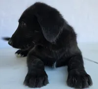 processed/ae68d0c1-6543-4704-b753-00974f51b751/listing/ddf088ee-793b-46f9-899c-debc22e0ff3d/137df694-d366-4997-a0ef-ca03d0076167