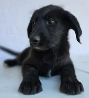 processed/ae68d0c1-6543-4704-b753-00974f51b751/listing/ddf088ee-793b-46f9-899c-debc22e0ff3d/558e2719-0914-4286-b8e4-6cb096fc9171