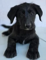 processed/ae68d0c1-6543-4704-b753-00974f51b751/listing/ddf088ee-793b-46f9-899c-debc22e0ff3d/cd59f82e-4a0f-4b28-9ad8-05e22285e31e