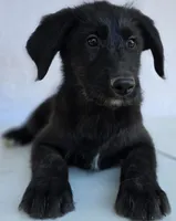 processed/ae68d0c1-6543-4704-b753-00974f51b751/listing/ddf088ee-793b-46f9-899c-debc22e0ff3d/eda49d7b-bf16-4b85-b016-54cf1d931aef