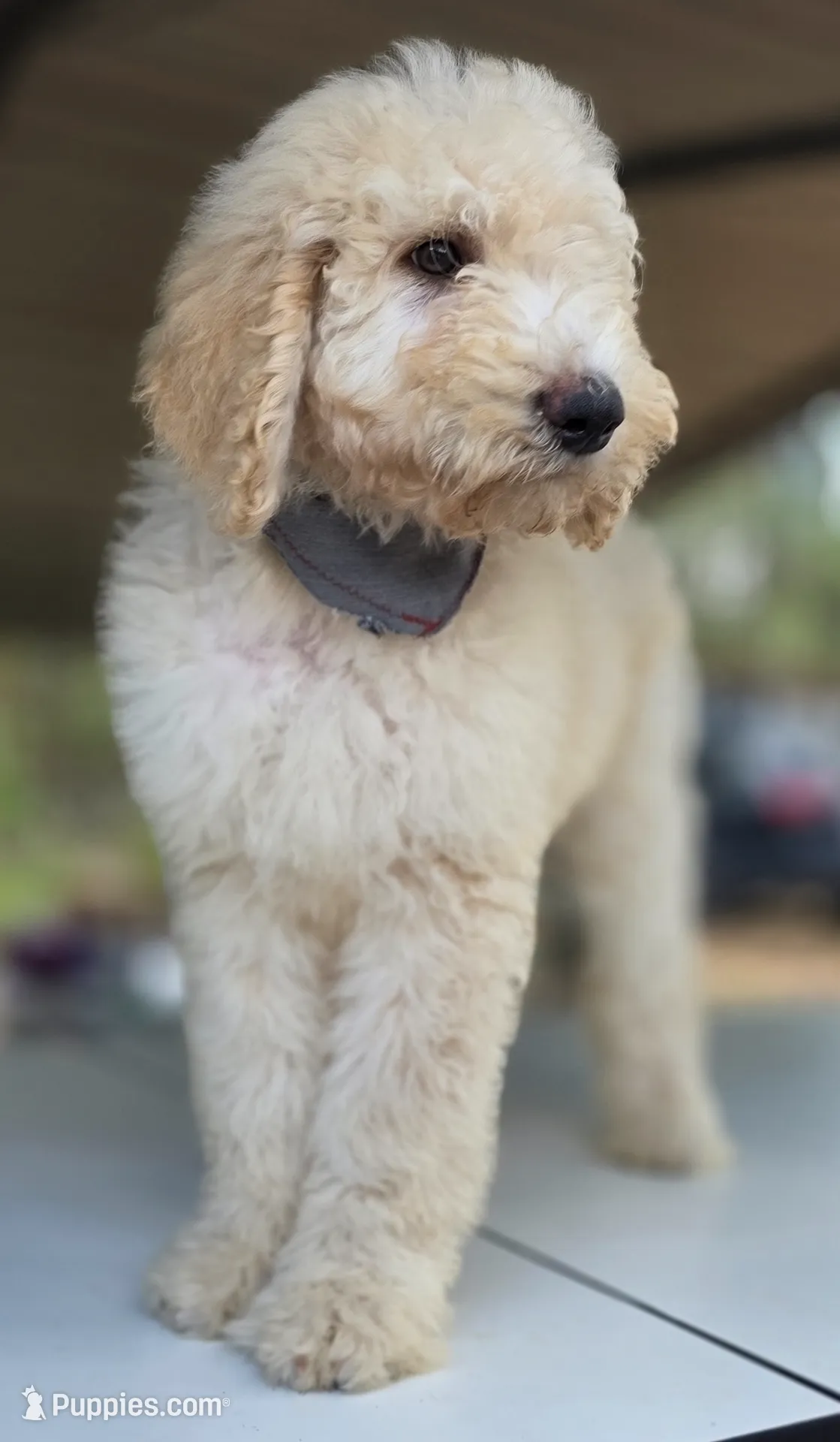 processed/ae68d0c1-6543-4704-b753-00974f51b751/listing/eb2da6f1-cacd-4d24-ab14-8f43e9dcc875/7db2411e-ab1e-4d7a-ad4f-29b0e303e99a