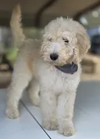 processed/ae68d0c1-6543-4704-b753-00974f51b751/listing/eb2da6f1-cacd-4d24-ab14-8f43e9dcc875/958f8283-2c12-4ed5-9990-7ab411580cbc