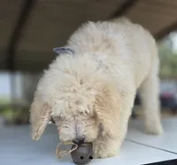 processed/ae68d0c1-6543-4704-b753-00974f51b751/listing/eb2da6f1-cacd-4d24-ab14-8f43e9dcc875/9fbcaa08-c98f-4c75-bd02-d2fdc803a639