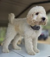 processed/ae68d0c1-6543-4704-b753-00974f51b751/listing/eb2da6f1-cacd-4d24-ab14-8f43e9dcc875/af8cc947-4e74-4506-a65d-ec8e198a3cad