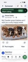 Blaze, a male Cavalier King Charles Spaniel for sale in Millbrook, AL – 2 of 2