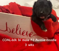 processed/ae77ec85-5252-46a6-9b8a-d4d26fb2a717/listing/80a9ab34-a8ff-4870-af46-5e33048279e1/06bac880-dbfc-4d9e-98e3-2e81bc7aa51d