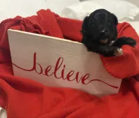 processed/ae77ec85-5252-46a6-9b8a-d4d26fb2a717/listing/80a9ab34-a8ff-4870-af46-5e33048279e1/158684ab-59bc-49f9-af3c-528da0fccdb9