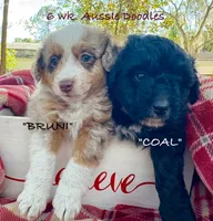 processed/ae77ec85-5252-46a6-9b8a-d4d26fb2a717/listing/80a9ab34-a8ff-4870-af46-5e33048279e1/56c1e2bd-9411-4159-9fed-e7bcfb55731b