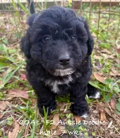 processed/ae77ec85-5252-46a6-9b8a-d4d26fb2a717/listing/80a9ab34-a8ff-4870-af46-5e33048279e1/713888b8-f944-4451-980a-58020261d0c7