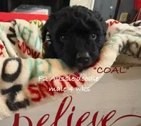 processed/ae77ec85-5252-46a6-9b8a-d4d26fb2a717/listing/80a9ab34-a8ff-4870-af46-5e33048279e1/7dfa9228-b341-4c3a-8080-a71429280ed5