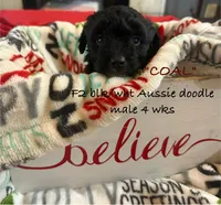 processed/ae77ec85-5252-46a6-9b8a-d4d26fb2a717/listing/80a9ab34-a8ff-4870-af46-5e33048279e1/91ae2e9d-b894-4eaa-89af-c3def10de985