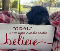 processed/ae77ec85-5252-46a6-9b8a-d4d26fb2a717/listing/80a9ab34-a8ff-4870-af46-5e33048279e1/91d28af1-7c3c-4521-ad05-452bb69f7a4f