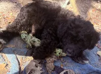 processed/ae77ec85-5252-46a6-9b8a-d4d26fb2a717/listing/80a9ab34-a8ff-4870-af46-5e33048279e1/ca94258d-ed11-42dd-9d8e-74fa85873672