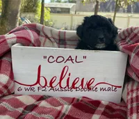 processed/ae77ec85-5252-46a6-9b8a-d4d26fb2a717/listing/80a9ab34-a8ff-4870-af46-5e33048279e1/cfa095a2-64c6-4673-80bb-707aa3bc81a6