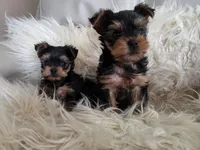 processed/ae79c181-0a25-473d-b9f1-dd8fbe9f4e3a/facility/fd27ecce-4388-417f-aa78-487d2ec7a02b