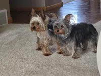 processed/ae79c181-0a25-473d-b9f1-dd8fbe9f4e3a/facility/fd811a2c-50a7-4dd5-b6de-8bb948956100