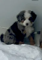 processed/ae7e7a7c-8c45-4c85-b405-5599c4336684/listing/2f274f87-689c-4caa-aa29-78e8412eb47e/f9e40e6e-3c1c-49b6-bf7c-5f5a9169c656