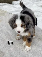 processed/ae7e7a7c-8c45-4c85-b405-5599c4336684/listing/3ffcc721-2da8-4591-a4b5-c133b5326a63/bfb979d3-cf12-4c3d-8b5f-a622fa2b0ffe