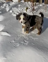 processed/ae7e7a7c-8c45-4c85-b405-5599c4336684/listing/afe45ff6-d8e6-4089-92dd-c23d9820d560/f1cdecdc-abfd-4841-81ca-4b4c150a5560