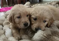 processed/ae8401f7-59f8-4026-b3df-89626fb59e34/listing/4a90f4e2-27c4-4be8-a6a6-51a22a385aca/550ded4c-394c-4480-b89f-bf9e7d5acd1c