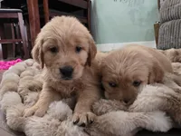 processed/ae8401f7-59f8-4026-b3df-89626fb59e34/listing/4a90f4e2-27c4-4be8-a6a6-51a22a385aca/dd72d825-54ae-47c7-80da-fb3e175d85df