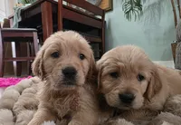 processed/ae8401f7-59f8-4026-b3df-89626fb59e34/listing/79ff71fb-6679-4a9e-989d-205104560321/2ae6cbd4-32b0-44ea-ac67-399ea01e7c25