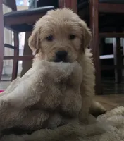 processed/ae8401f7-59f8-4026-b3df-89626fb59e34/listing/79ff71fb-6679-4a9e-989d-205104560321/844ac817-1f11-41c5-9e91-550f69fcb040