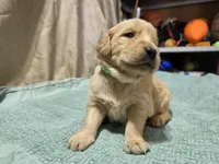 processed/ae8401f7-59f8-4026-b3df-89626fb59e34/listing/79ff71fb-6679-4a9e-989d-205104560321/8f695ffb-267e-4630-b318-e0b75480b271