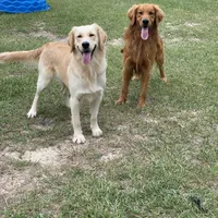 processed/ae889d47-79af-4ebd-802c-95362c0533cc/facility/21412d54-d25f-4ab0-83f1-3bc0bb31a0cf