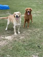 processed/ae889d47-79af-4ebd-802c-95362c0533cc/facility/21412d54-d25f-4ab0-83f1-3bc0bb31a0cf