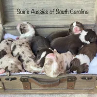 processed/ae889d47-79af-4ebd-802c-95362c0533cc/facility/37b3a37c-1045-4391-a5de-df2e534619a0