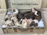 processed/ae889d47-79af-4ebd-802c-95362c0533cc/facility/37b3a37c-1045-4391-a5de-df2e534619a0