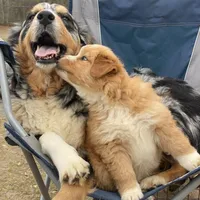 processed/ae889d47-79af-4ebd-802c-95362c0533cc/facility/614056a8-3ab6-43cd-80fe-5cd0b9248269