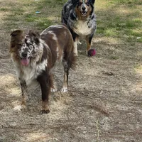 processed/ae889d47-79af-4ebd-802c-95362c0533cc/facility/d4f2bf62-b368-4e1a-b9fe-ef34c4383dee