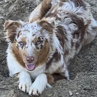 processed/ae889d47-79af-4ebd-802c-95362c0533cc/facility/e1999b5f-d3c2-47ef-9104-b73f20124964