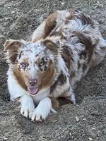 processed/ae889d47-79af-4ebd-802c-95362c0533cc/facility/e1999b5f-d3c2-47ef-9104-b73f20124964