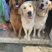 processed/ae889d47-79af-4ebd-802c-95362c0533cc/facility/f1977ba9-1777-4bd0-8832-e47928b69691