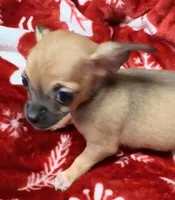 processed/ae8959c3-c4f3-4c86-af82-ce74c54d21dc/listing/79dddf22-89c2-4839-8089-1eca20281035/a20bf3d9-db22-4560-ae56-00f49bcb1904