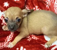 processed/ae8959c3-c4f3-4c86-af82-ce74c54d21dc/listing/79dddf22-89c2-4839-8089-1eca20281035/ee51c7af-45fc-40a6-8b8f-9f3012dbcd23