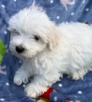 processed/ae8959c3-c4f3-4c86-af82-ce74c54d21dc/listing/cd0a28b6-c29e-47a1-9643-717d96747f0d/1252c6fc-1642-4f01-bcdd-273f941551d3