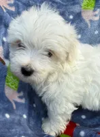 processed/ae8959c3-c4f3-4c86-af82-ce74c54d21dc/listing/cd0a28b6-c29e-47a1-9643-717d96747f0d/fca8ffb9-0216-4852-9a40-4416620d8db1