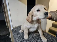 processed/ae8e7051-25e3-4fc8-b5aa-380e72886694/listing/a2b6b24c-127a-4c5c-9d99-05343f3f7937/0eb8954e-0b17-4452-a72f-498a1159beb1